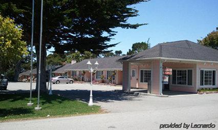 Motel Butterfly Grove