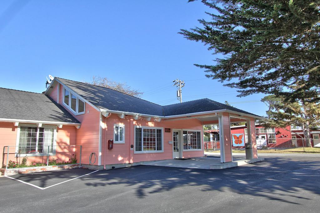 Motel Butterfly Grove