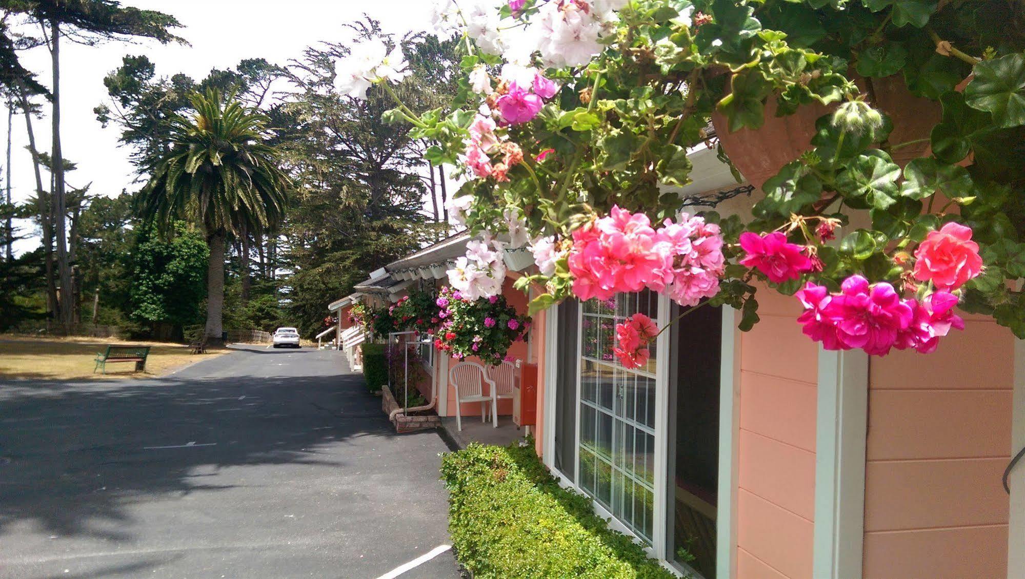Motel Butterfly Grove 2*
