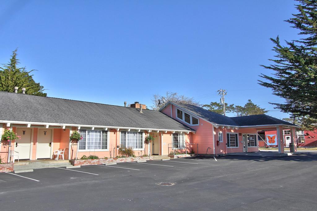 Motel Butterfly Grove