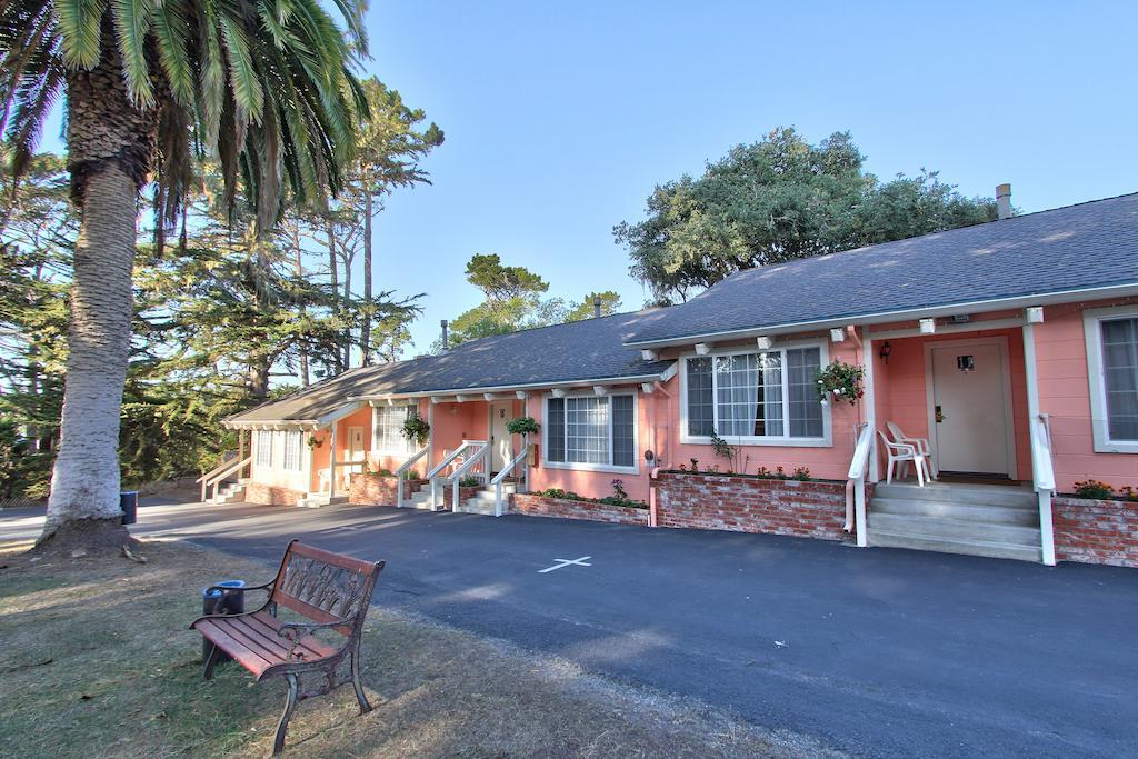 Motel Butterfly Grove