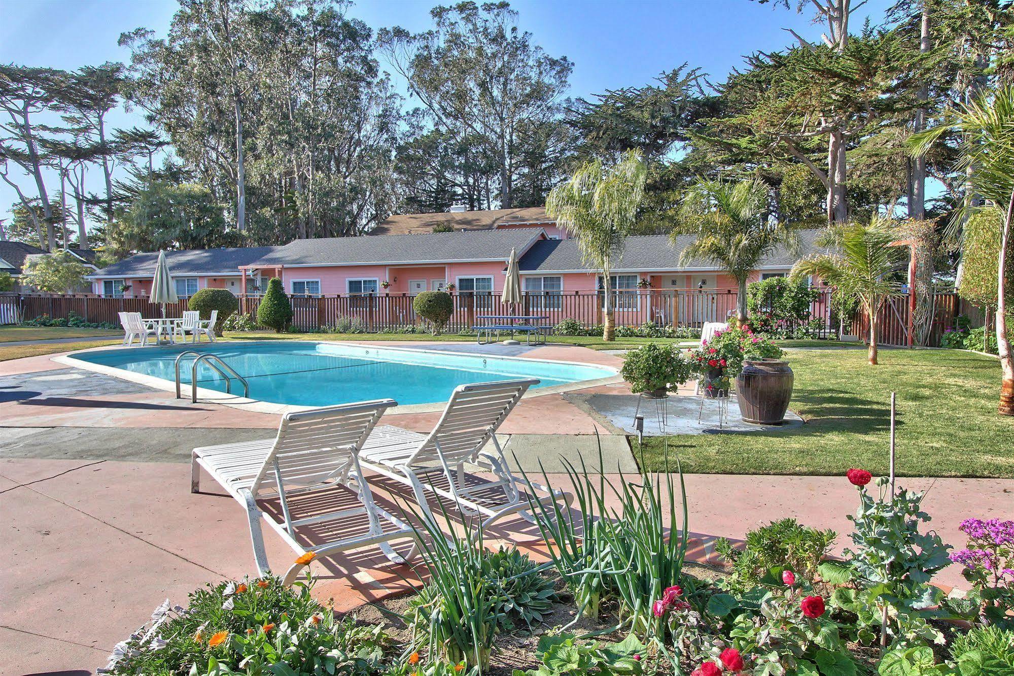 Motel Butterfly Grove