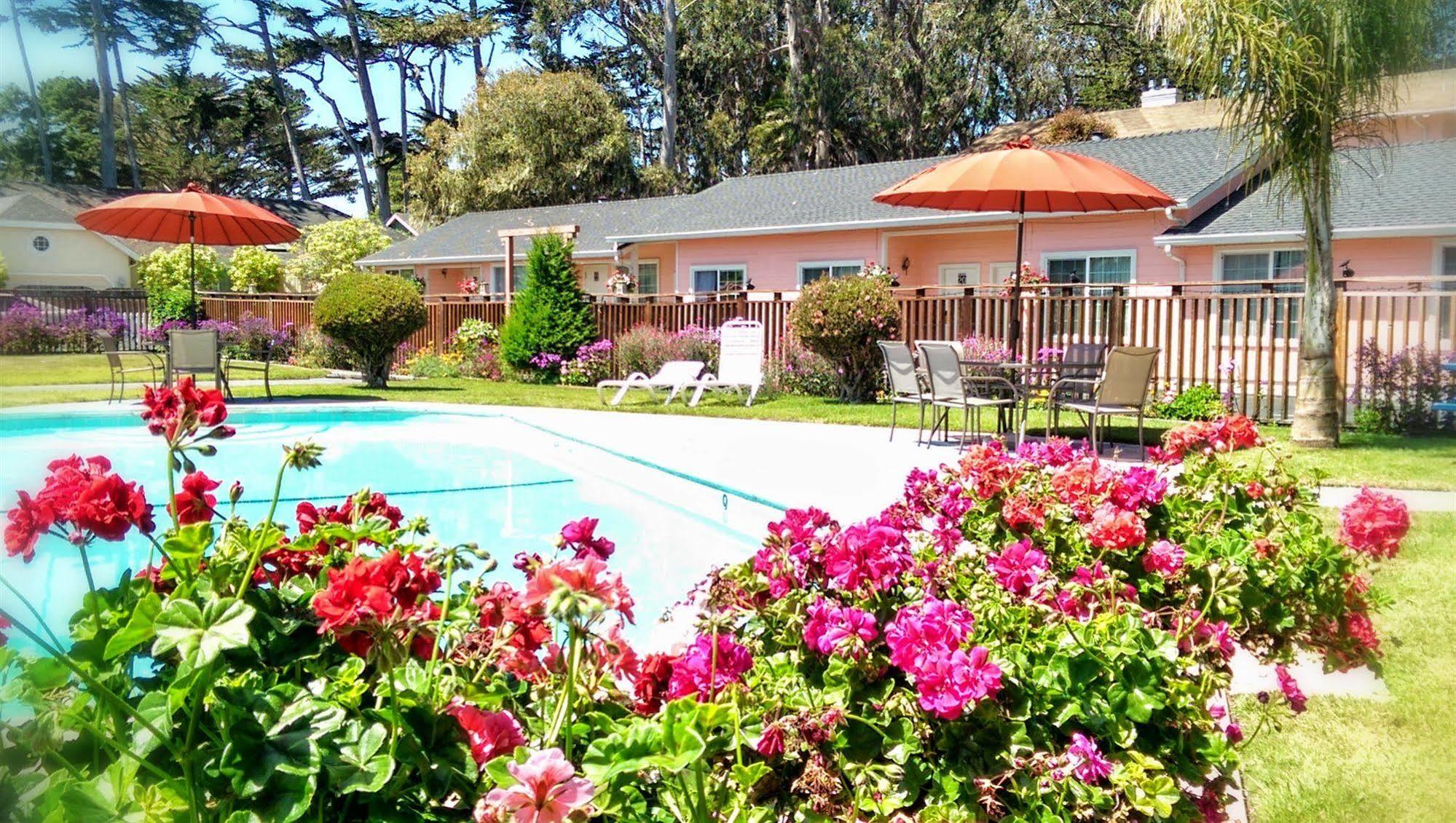 Butterfly Grove Motel